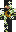 skin of a player