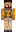 skin of a player