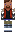 skin of a player