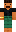 skin of a player
