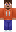 skin of a player