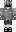 skin of a player