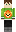 skin of a player