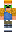 skin of a player