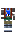 skin of a player
