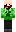 skin of a player