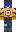 skin of a player