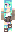 skin of a player