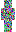 skin of a player