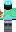skin of a player