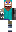 skin of a player
