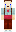 skin of a player