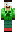 skin of a player