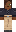 skin of a player