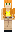 skin of a player