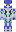 skin of a player