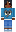 skin of a player