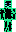 skin of a player