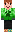 skin of a player