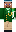 skin of a player