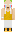 skin of a player