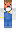 skin of a player