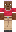 skin of a player