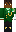 skin of a player