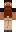 skin of a player