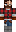 skin of a player