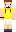 skin of a player
