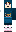 skin of a player