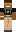 skin of a player
