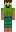 skin of a player