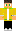 skin of a player