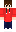 skin of a player