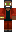 skin of a player