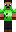 skin of a player