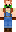 skin of a player