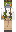 skin of a player