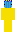 skin of a player