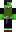 skin of a player