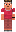 skin of a player
