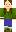 skin of a player