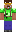 skin of a player