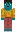 skin of a player