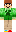 skin of a player