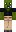 skin of a player