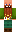 skin of a player