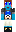 skin of a player